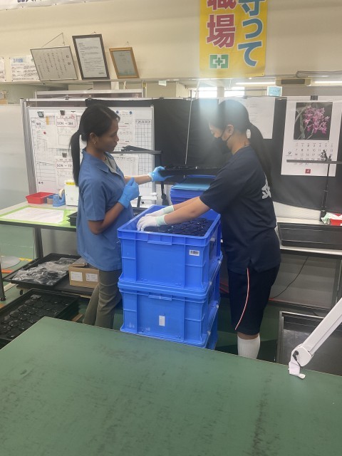 菊池製作所での梱包作業